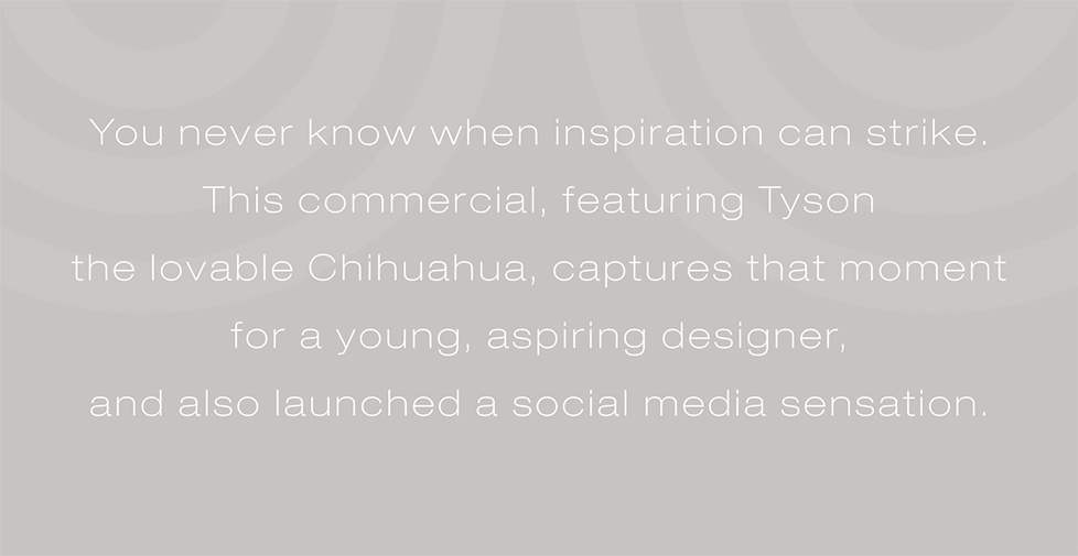 Staedtler triplus campaign, TV commercial and design. You never know when inspiration can strike. This commercial, featuring Tyson  the lovable Chihuahua, captures that moment  for a young, aspiring designer,  and also launched a social media sensation.